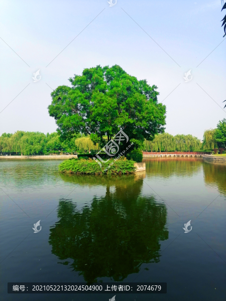 公園美景