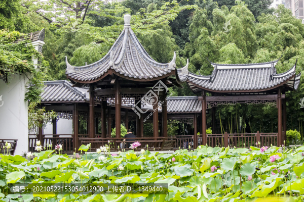 茶亭公園