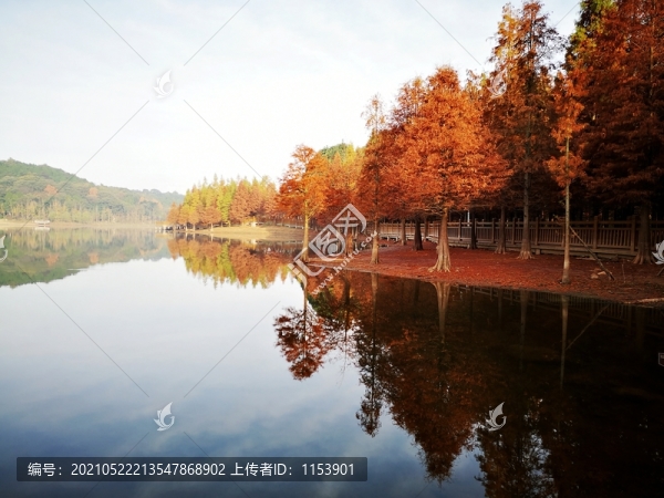 濕地公園