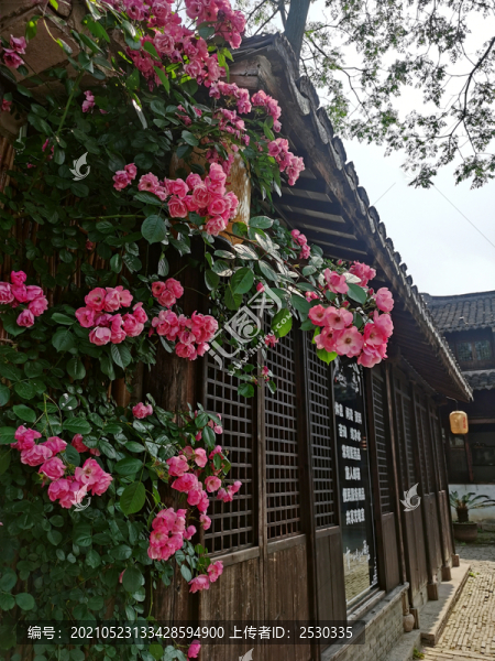 周莊逸飛之家