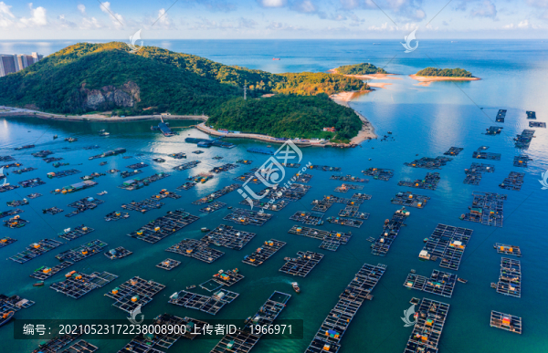 廣東陽江閘坡國家級中心漁港