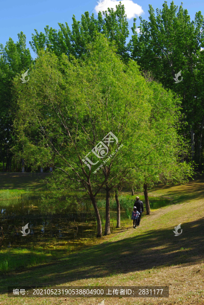 朝陽區(qū)鴻博公園