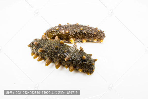 海參