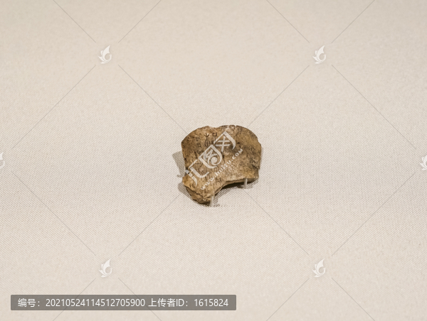 商武丁甲骨文