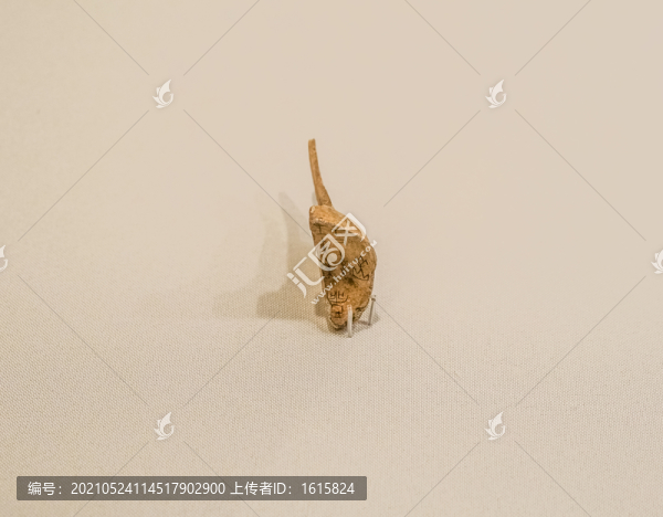 商武丁甲骨文