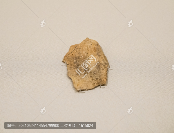 商武丁甲骨文