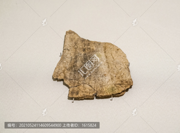 商武丁甲骨文