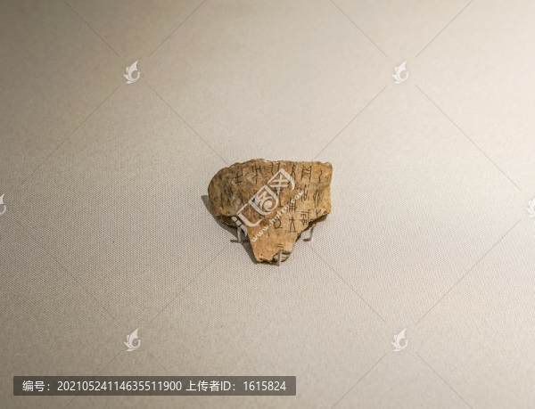 商武丁甲骨文