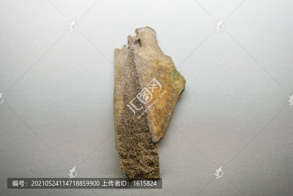 商武丁甲骨文