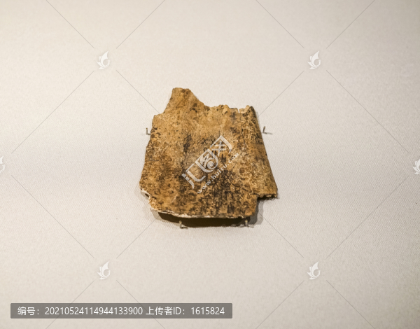 商武丁甲骨文