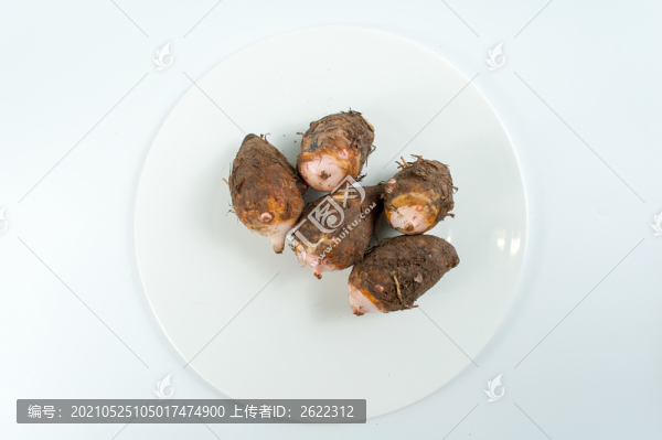 芋艿