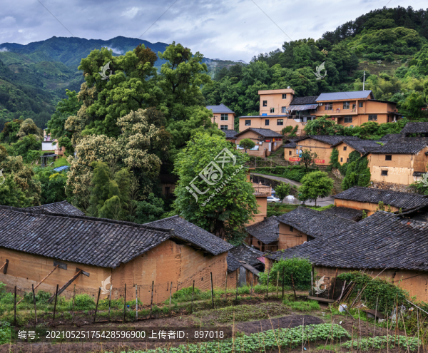 楊家堂村