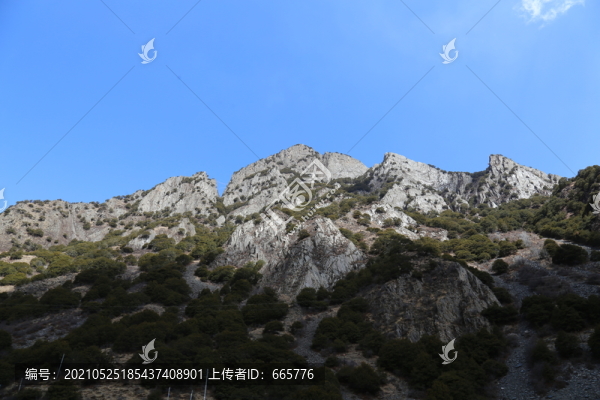 高原山脈
