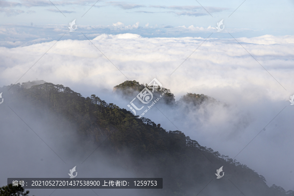 黃山云海