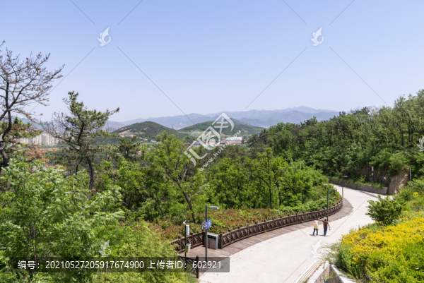 山間道路