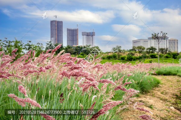 海珠濕地公園