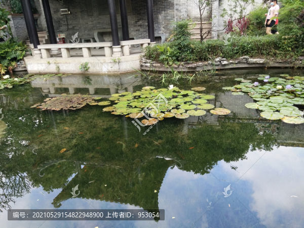 景觀園林