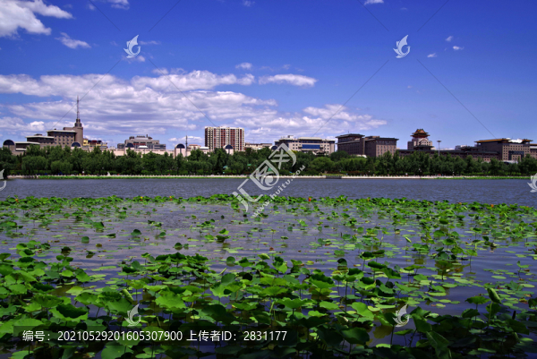 豐臺區(qū)蓮花池公園