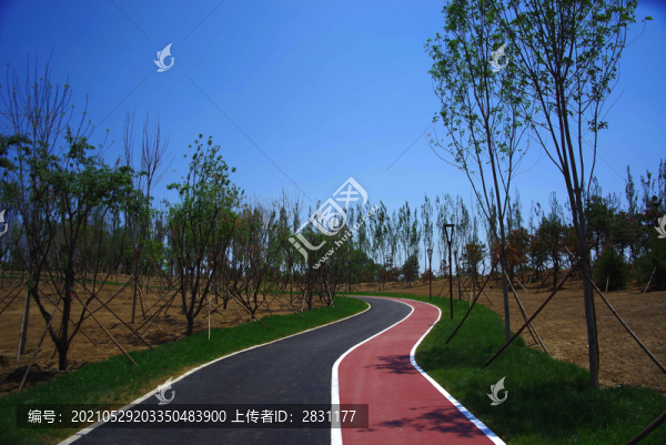 朝陽區(qū)黑橋公園