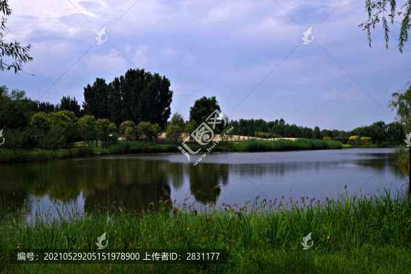 北京東郊濕地公園