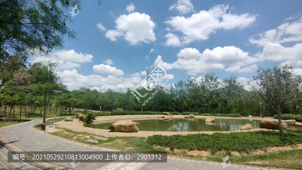公園池塘藍(lán)天白云
