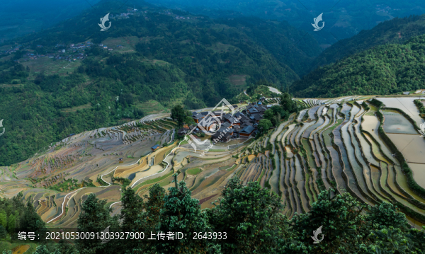 灌水期的貴州加榜梯田景色