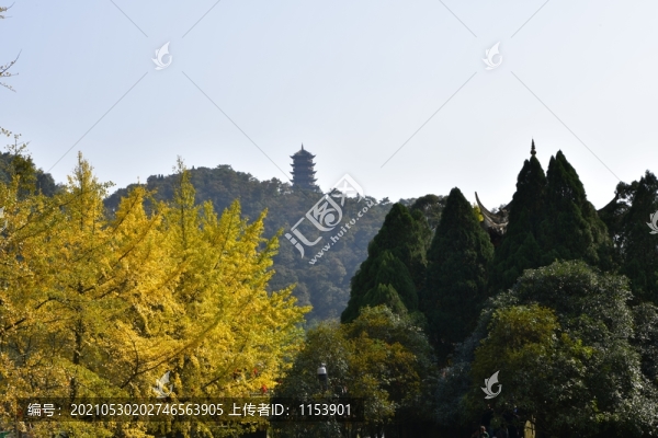 秋景