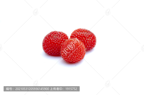 蓬蘽泡泡
