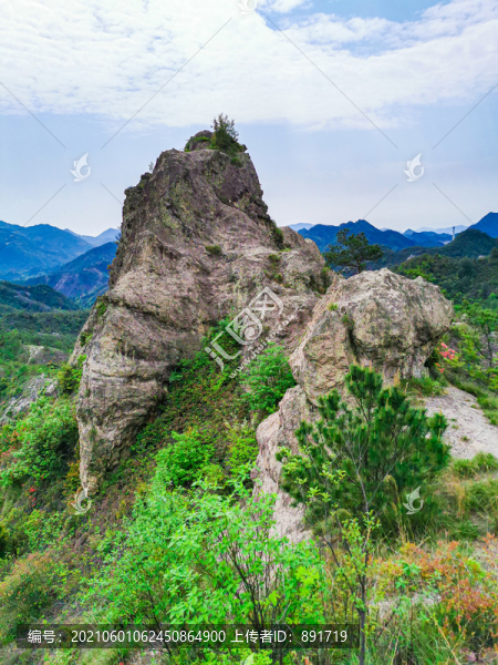 青山