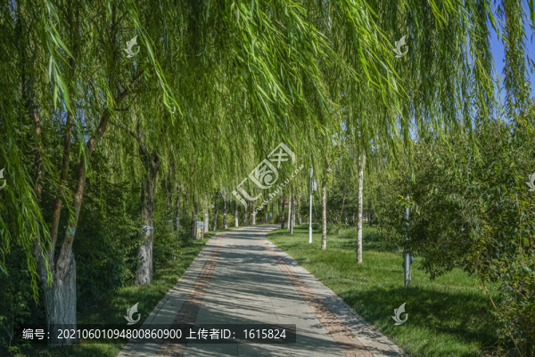 天津南翠屏公園步道