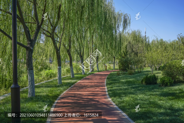 天津南翠屏公園步道
