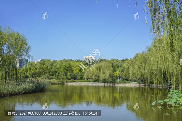 天津南翠屏公園河岸