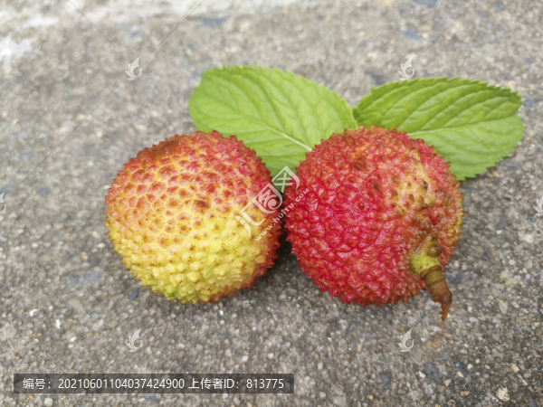 兩顆小荔枝