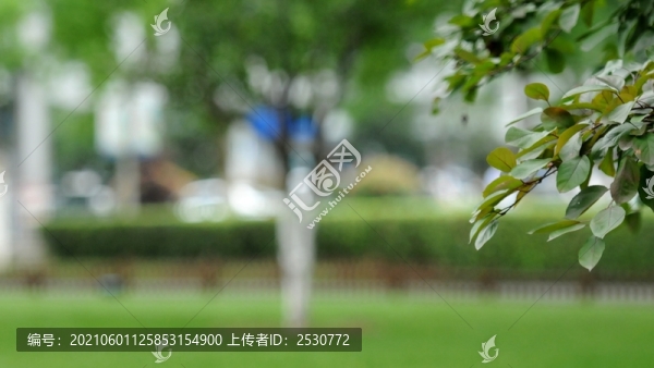 城市園林綠化