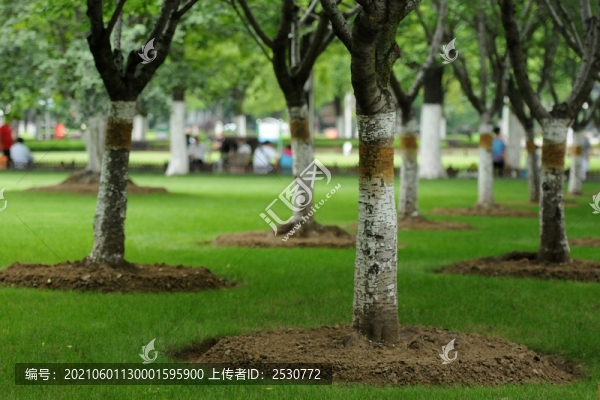 城市園林綠化