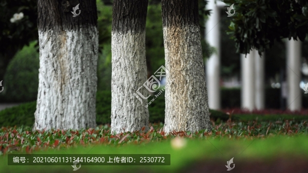 城市綠地公園