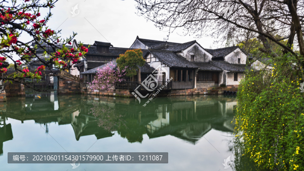 烏鎮(zhèn)春早