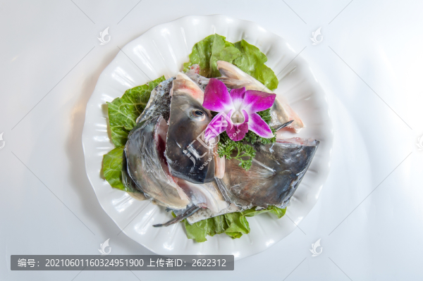 火鍋生魚頭白底圖