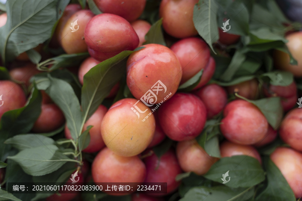 紅李子
