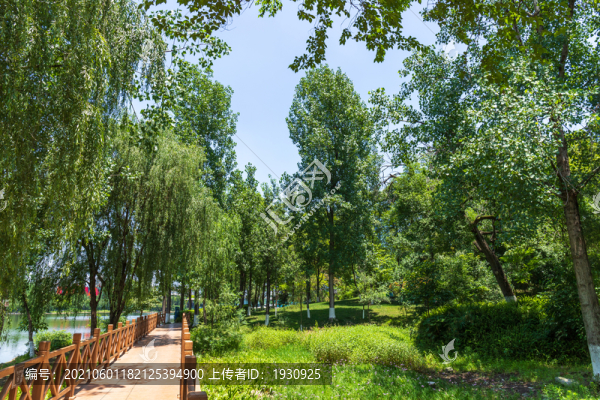成都東湖公園林蔭小道