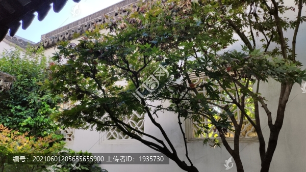 庭院-匯圖網(wǎng) www.fosd68.com 庭院