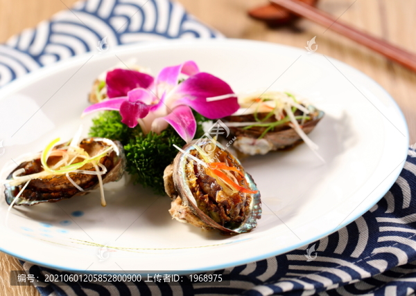 鮑魚(yú)