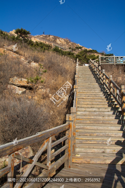 登山木棧道