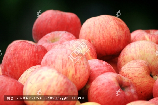 紅富士