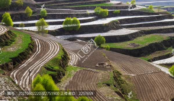 山野風(fēng)光