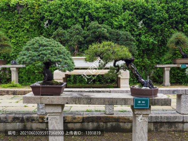 蘇州拙政園