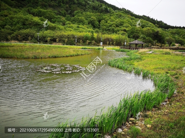 濕地公園