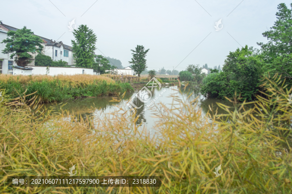 鄉(xiāng)村湖泊