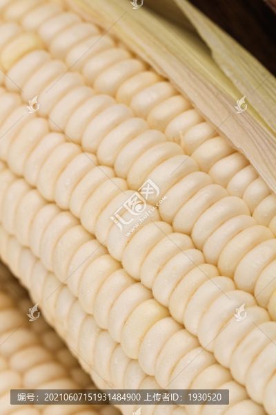 白玉米
