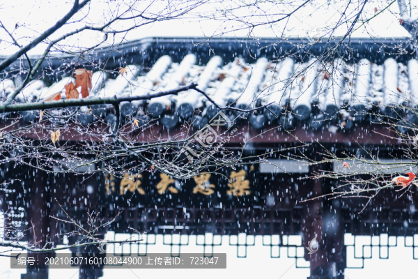 西湖雪韻